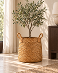 Olia – Natural Woven Storage Basket